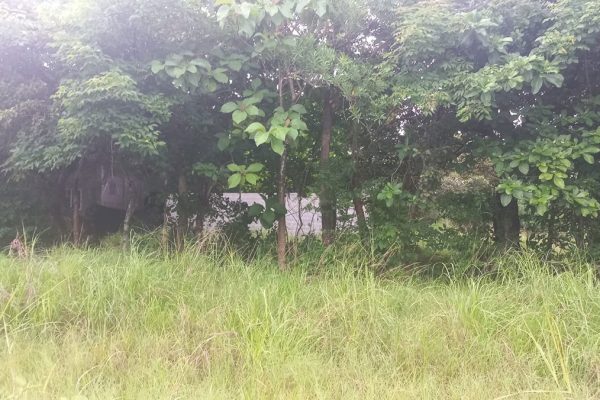 venta-terreno-penonome-el-coco-propiedad-incasa-1