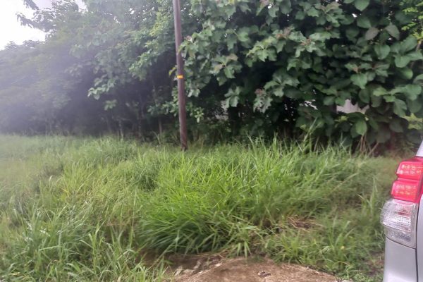 venta-terreno-penonome-el-coco-servidumbre-parte-frontal